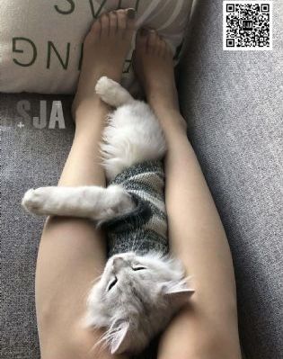年轻母亲视频_超清免费观看超清