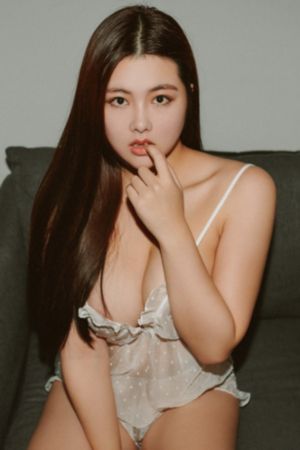 黑狐之风影_BD电影免费在线